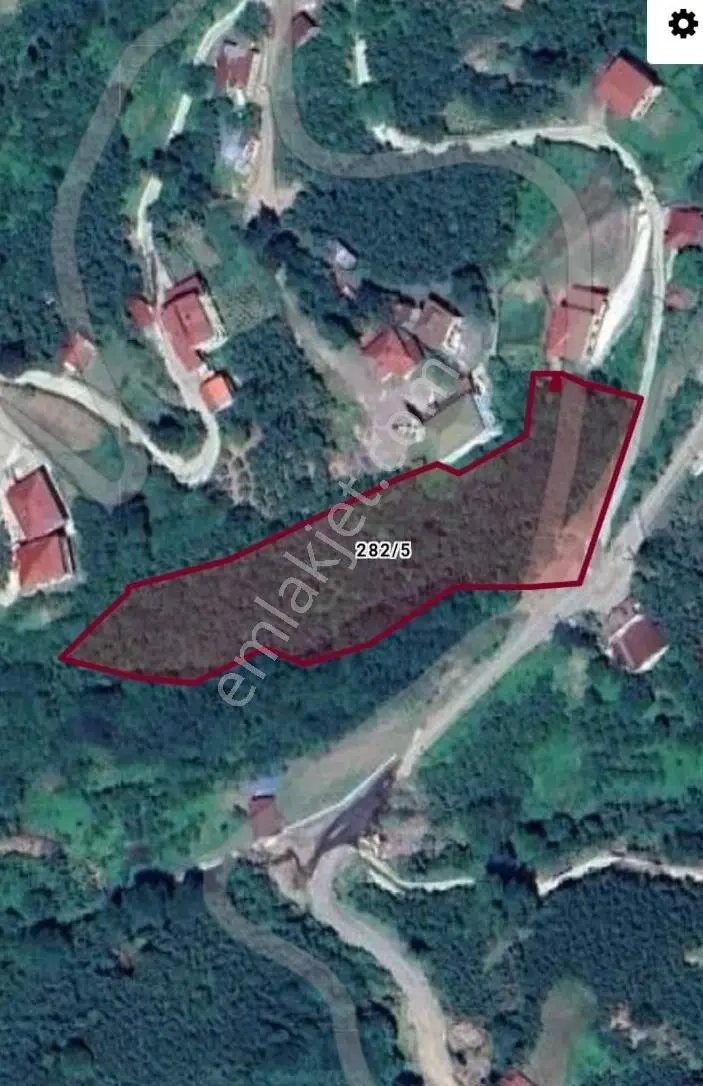 Ordu Perşembe Yüksek Gelirli Altyapılı Müstakil Fındık Bahçesi