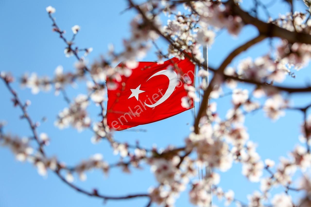 Ordu Perşembe Yüksek Gelirli Altyapılı Müstakil Fındık Bahçesi — fotoğraf 2