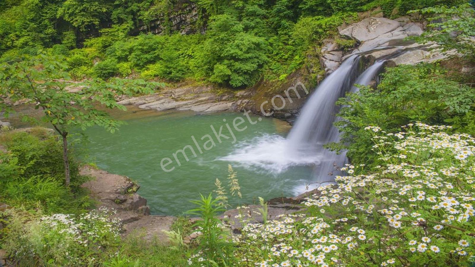 Ordu Perşembe Yüksek Gelirli Altyapılı Müstakil Fındık Bahçesi — fotoğraf 5