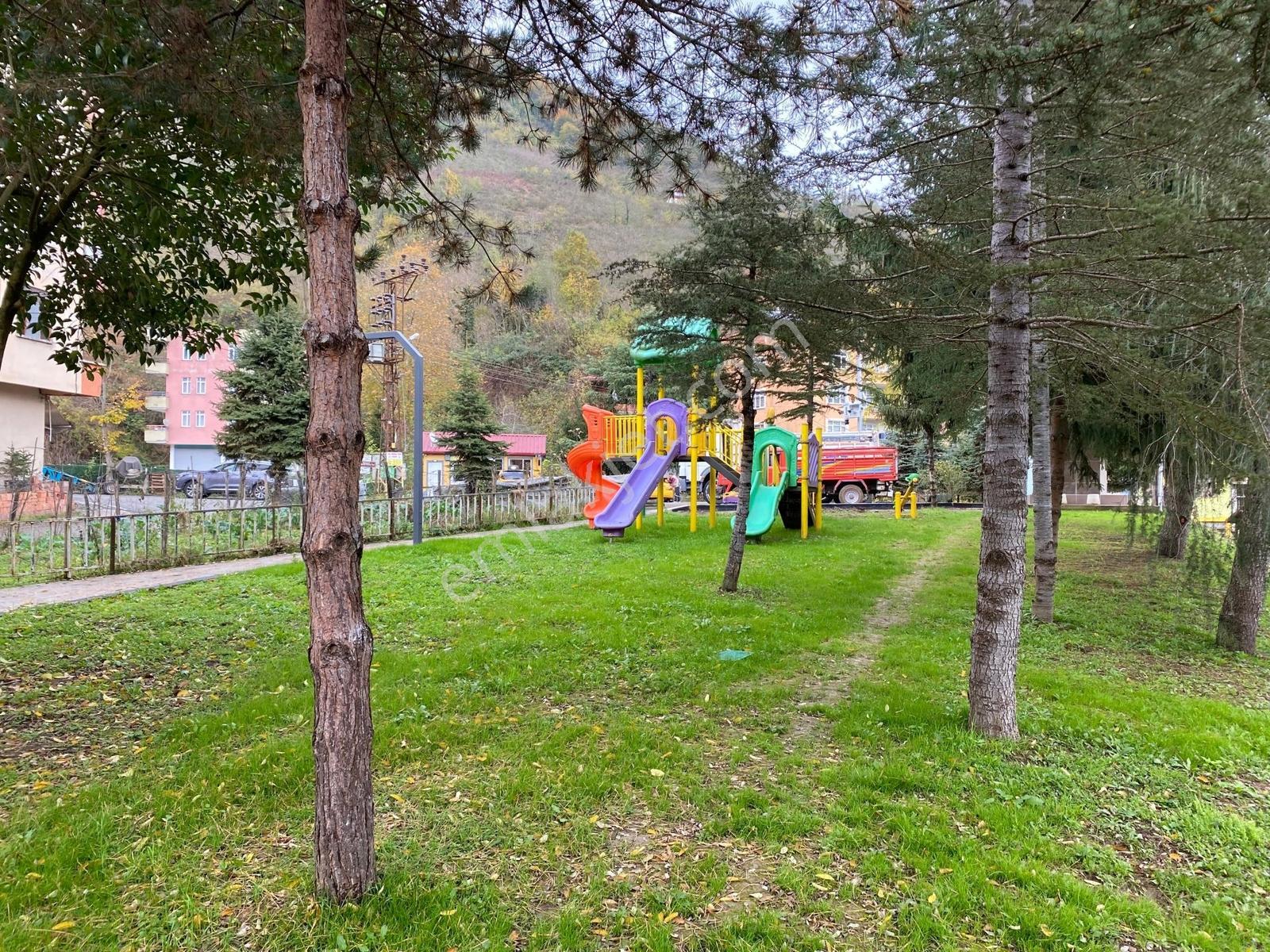 Ordu Perşembe Yüksek Gelirli Altyapılı Müstakil Fındık Bahçesi — fotoğraf 6