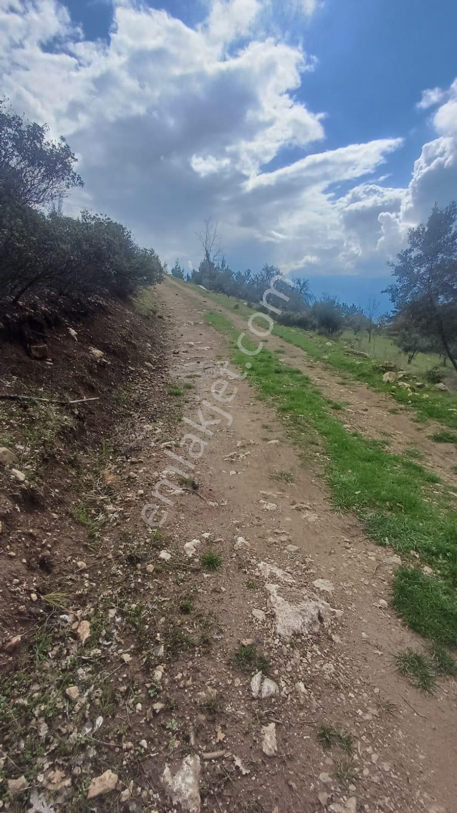 Seydikemer Çatak Mahallesinde Acil Satılık Tarla — fotoğraf 6