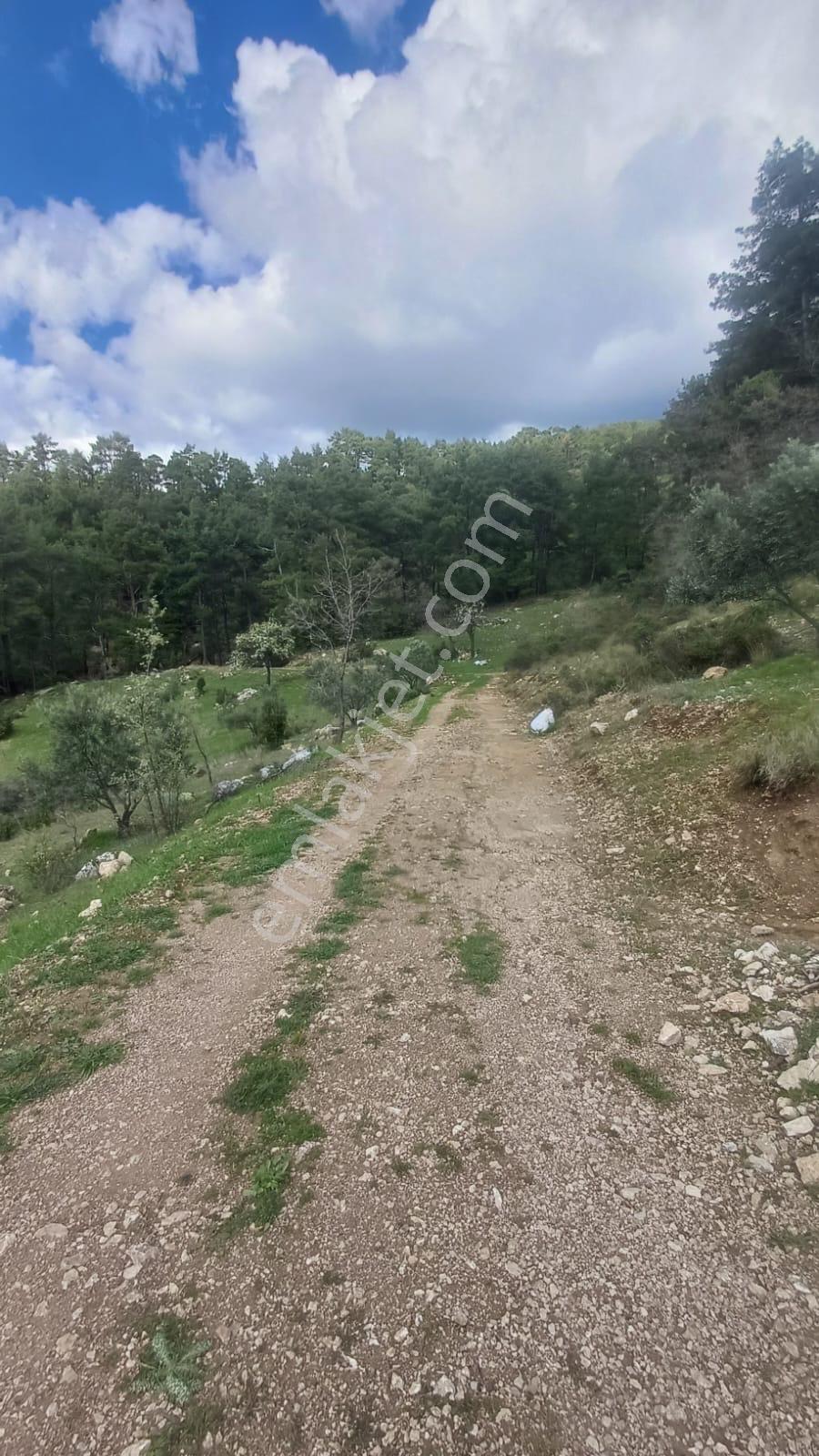 Seydikemer Çatak Mahallesinde Acil Satılık Tarla — fotoğraf 8