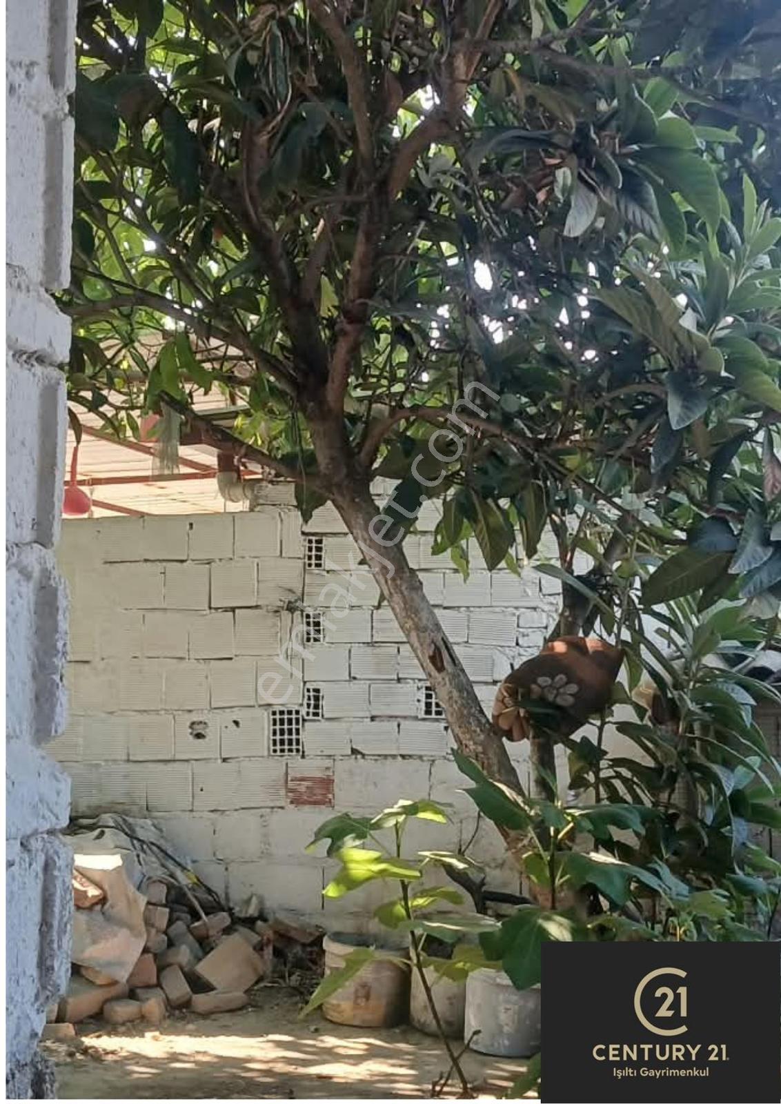 Kardeşköyde Müstakil Evli Arsa 330² — fotoğraf 9