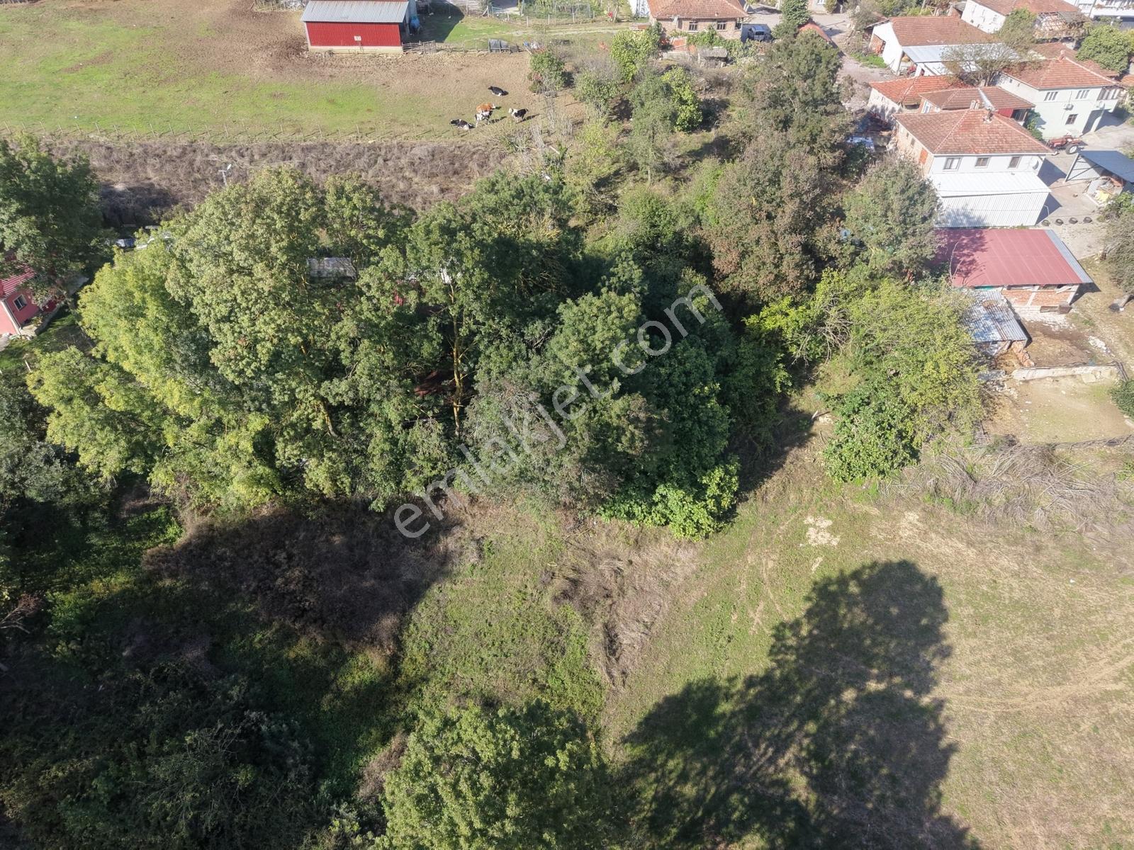 Emlak Evim - Kandıra Hıdırlar Köy İçi 690 M2 Arsa — fotoğraf 4