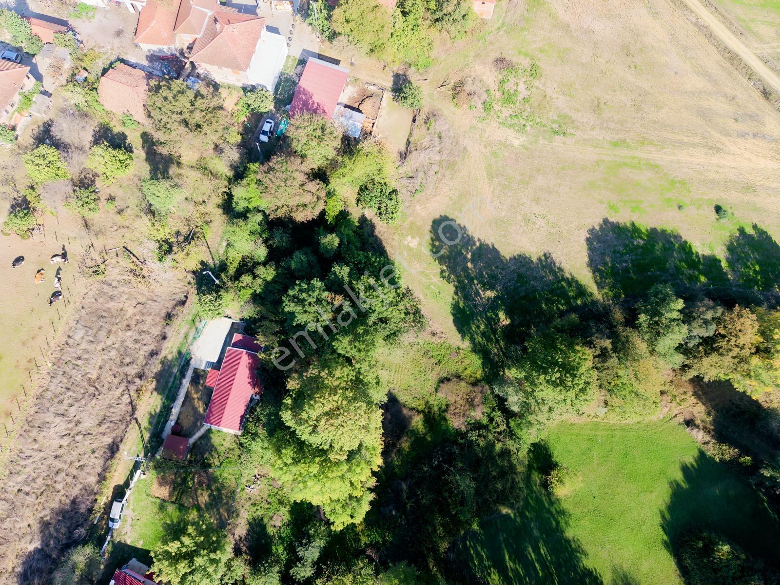 Emlak Evim - Kandıra Hıdırlar Köy İçi 690 M2 Arsa — fotoğraf 6