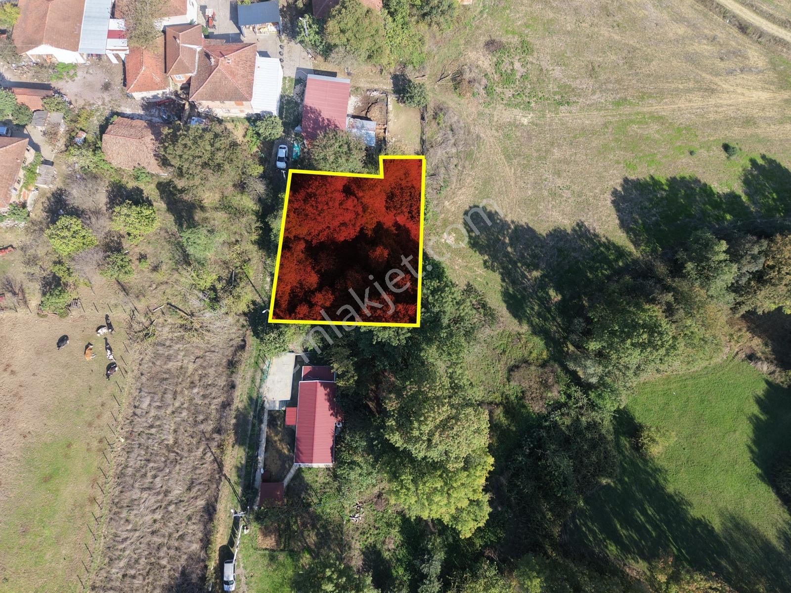 Emlak Evim - Kandıra Hıdırlar Köy İçi 690 M2 Arsa — fotoğraf 7