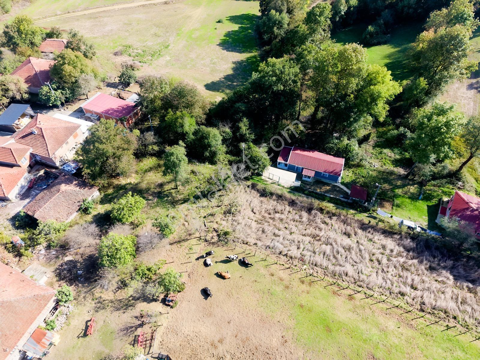 Emlak Evim - Kandıra Hıdırlar Köy İçi 690 M2 Arsa — fotoğraf 8
