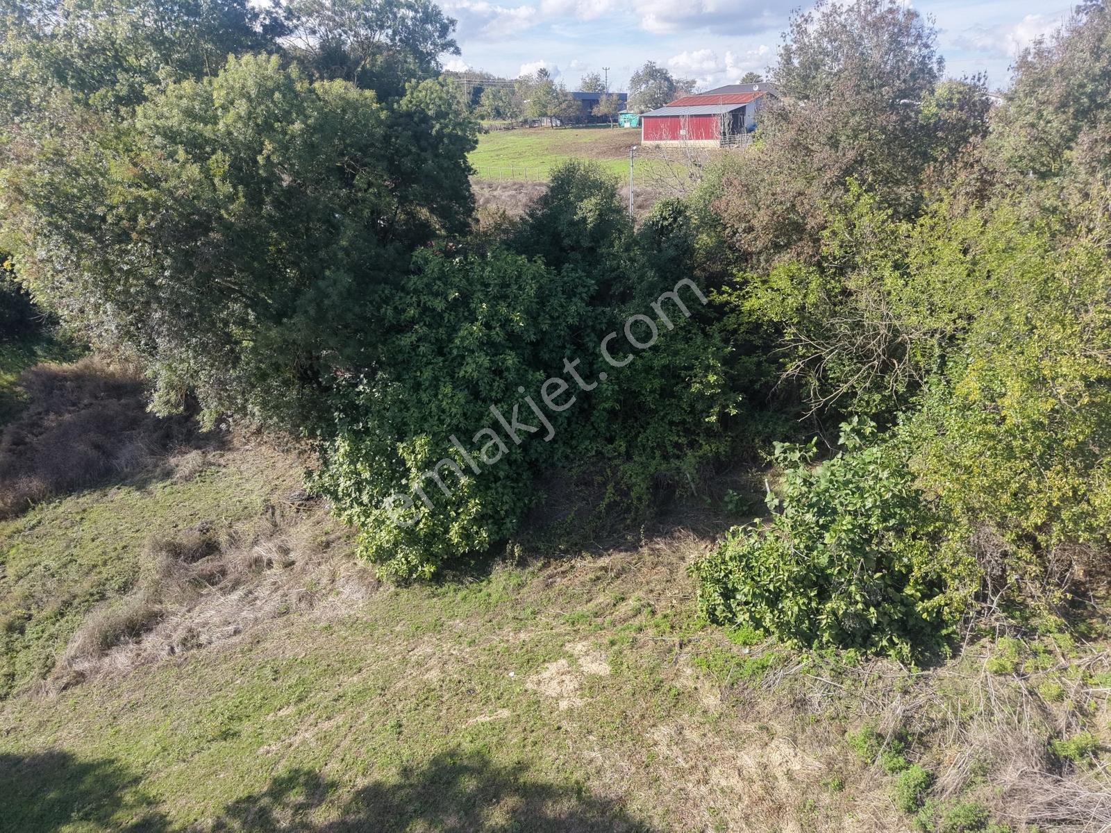 Emlak Evim - Kandıra Hıdırlar Köy İçi 690 M2 Arsa — fotoğraf 9