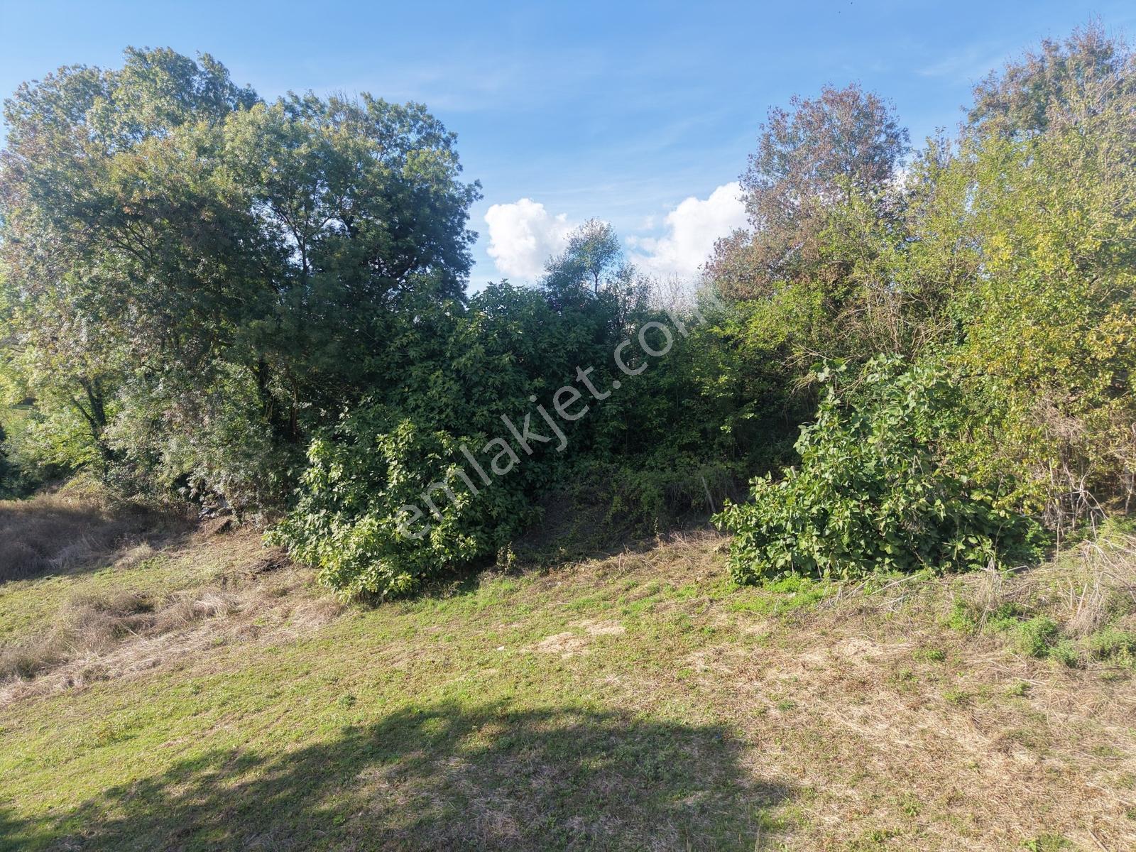 Emlak Evim - Kandıra Hıdırlar Köy İçi 690 M2 Arsa — fotoğraf 10
