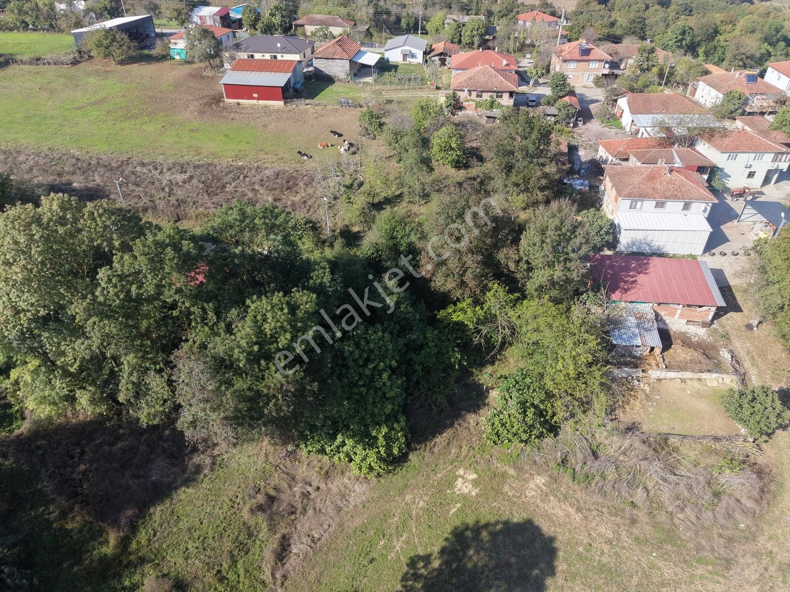 Emlak Evim - Kandıra Hıdırlar Köy İçi 690 M2 Arsa — fotoğraf 14