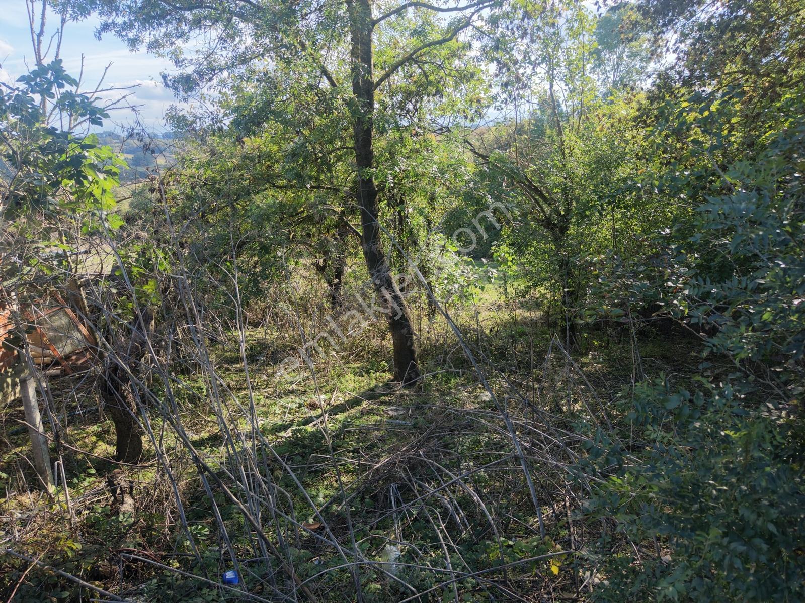 Emlak Evim - Kandıra Hıdırlar Köy İçi 690 M2 Arsa — fotoğraf 21