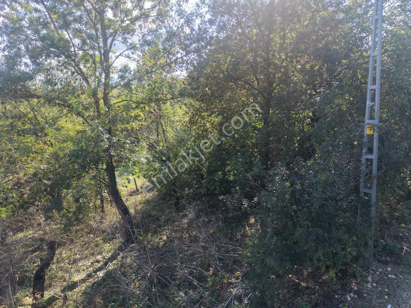 Emlak Evim - Kandıra Hıdırlar Köy İçi 690 M2 Arsa — fotoğraf 22