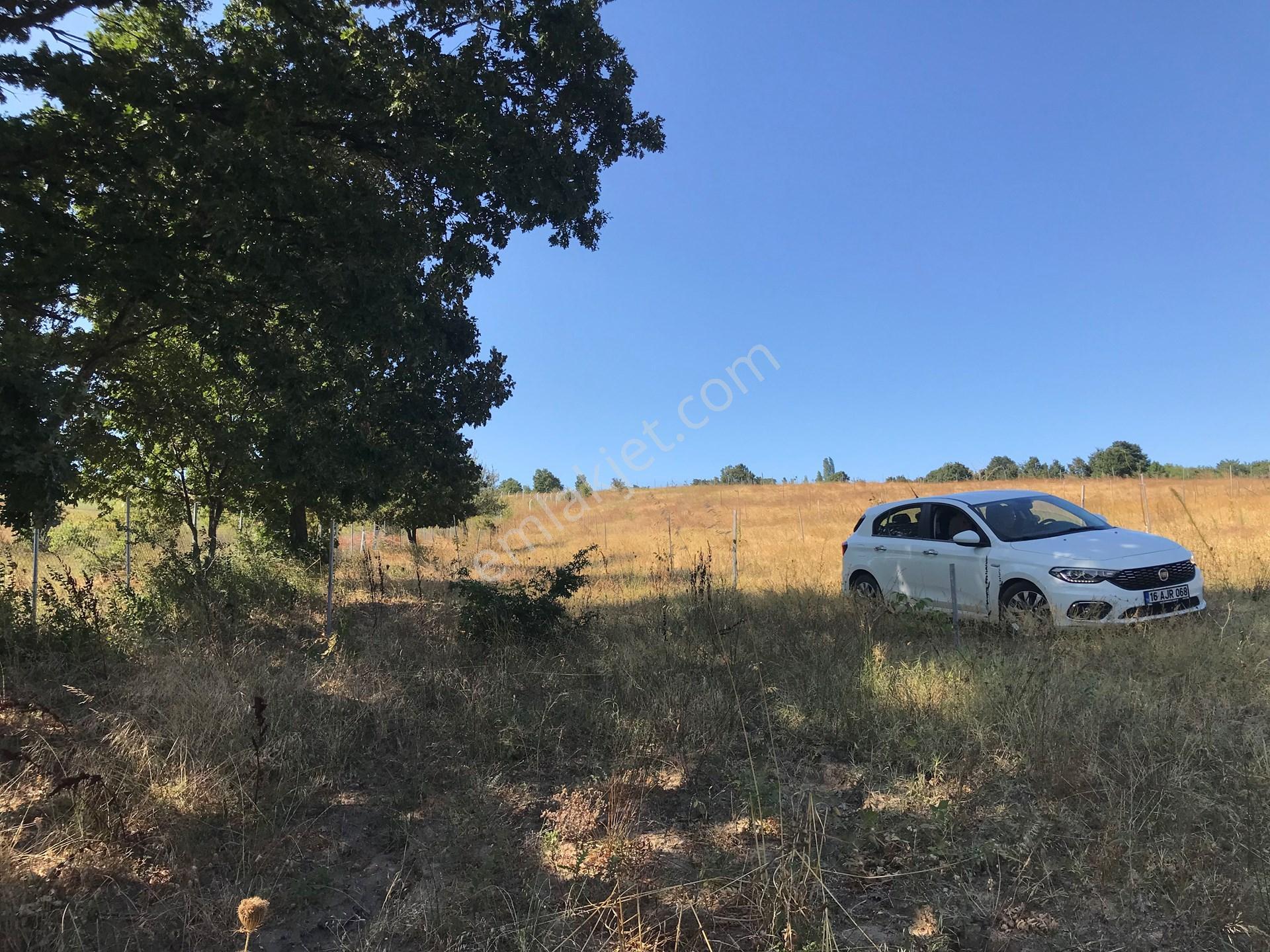 Yalova Armutlu Hayriye Köyü Doğa İçinde Yatırımlık 2960 M2 Fırsat Parsel — fotoğraf 11
