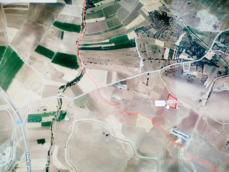 Koruk Köyünde 7,798m2 450 Kök Üzüm Bağı — fotoğraf 2