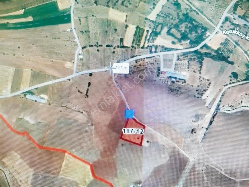 Koruk Köyünde 7,798m2 450 Kök Üzüm Bağı — fotoğraf 3