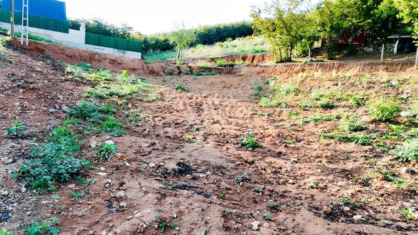 Balcıoğlundan Satılık Selahiye İmarlı Ruhstlı Toplam 15 Adt Arsa — fotoğraf 5