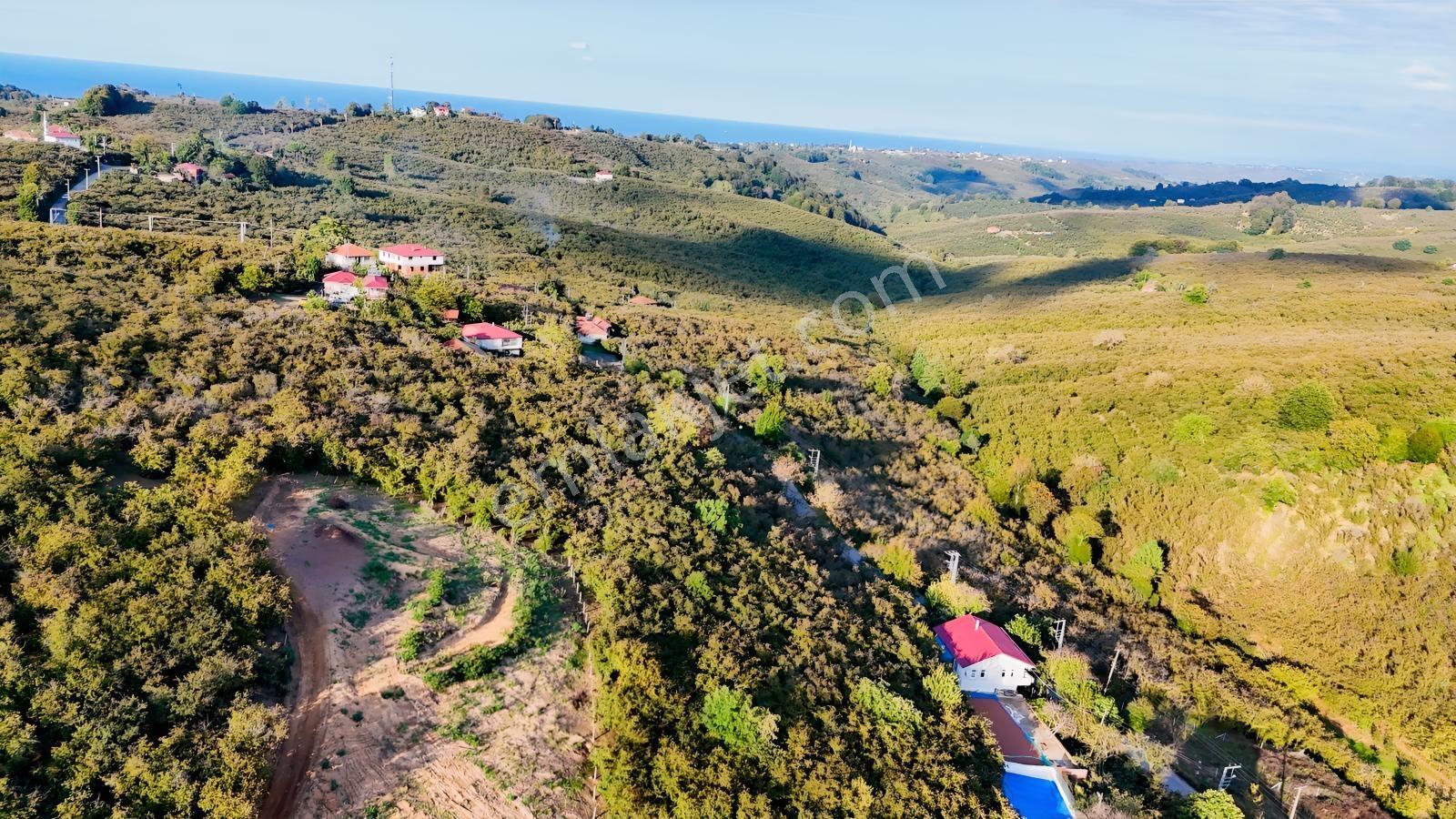 Balcıoğlundan Satılık Selahiye İmarlı Ruhstlı Toplam 15 Adt Arsa — fotoğraf 10