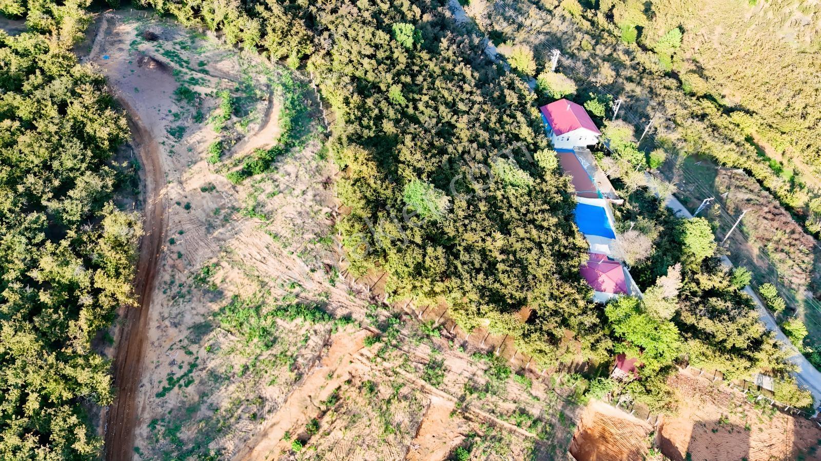 Balcıoğlundan Satılık Selahiye İmarlı Ruhstlı Toplam 15 Adt Arsa — fotoğraf 13