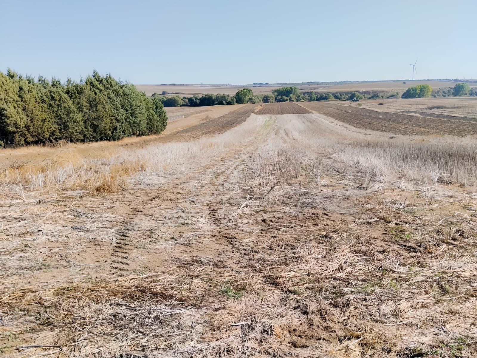 Silivri Seymen'de Acil Satılık Tek Tapu 3159 Metre — fotoğraf 3