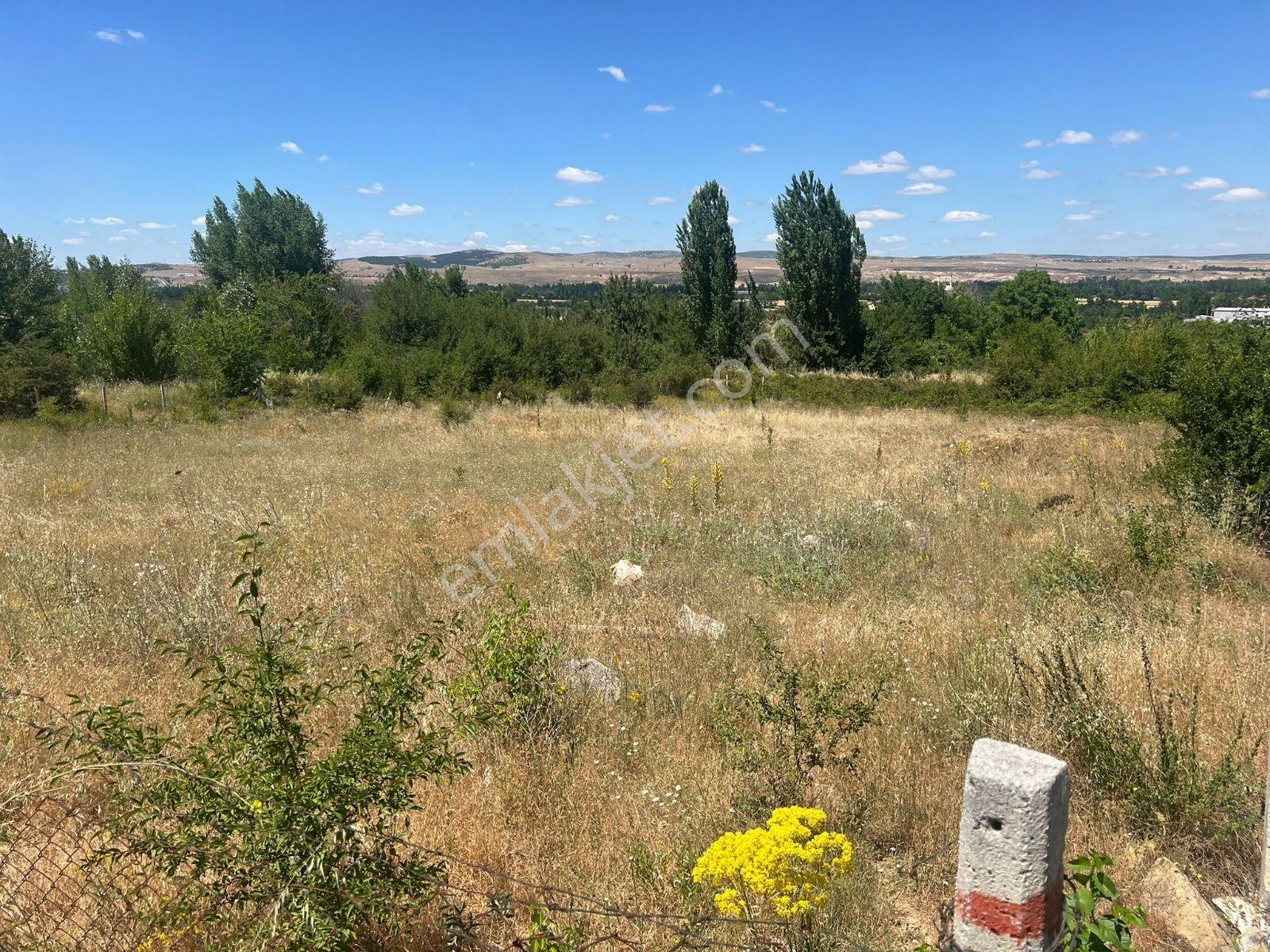 Çamlıcanın En Özel Konumlarından 2.455 M² Prestij Villa Arsası — fotoğraf 3