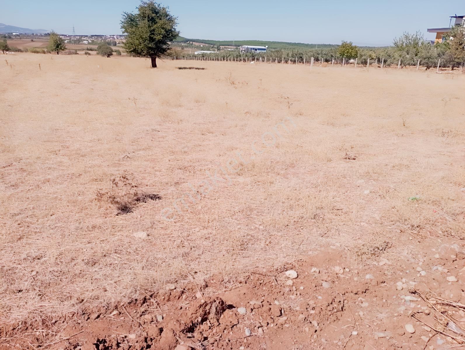Ayrancılar Türkmen Köyde Yatırım Potansiyeli Yüksek Tarla — fotoğraf 7