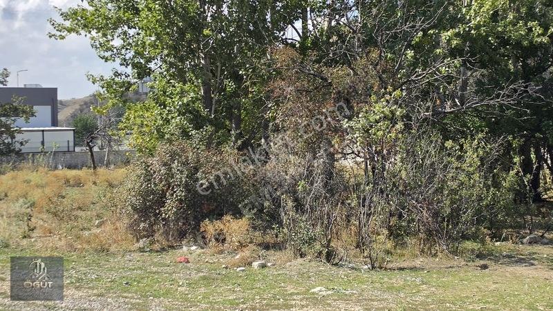 Lalahanda Köşebaşı Yola Cephe Ticari 1494 Metre Arsa — fotoğraf 24