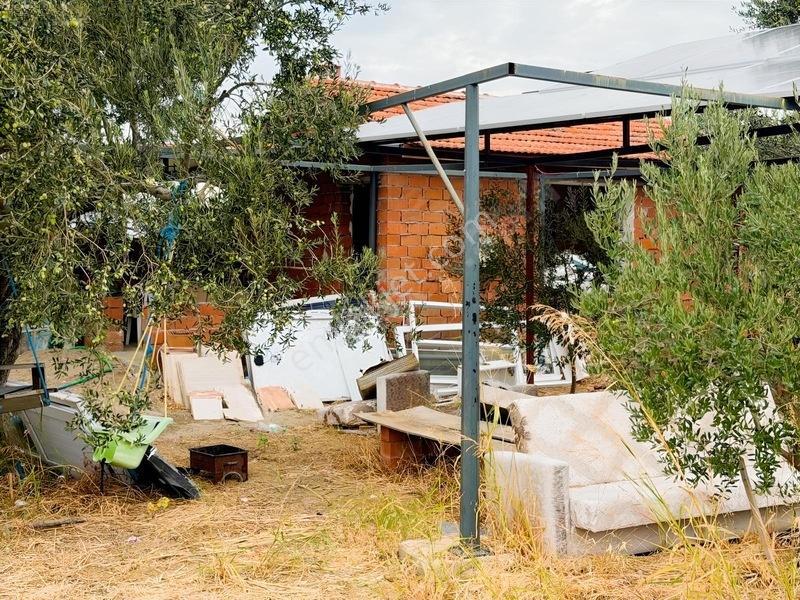 Etrafı Telle Cevrili Uygun Yatırımlık Tarla Tabulu Zeytinlik
