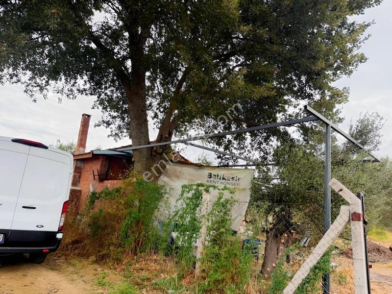 Etrafı Telle Cevrili Uygun Yatırımlık Tarla Tabulu Zeytinlik — fotoğraf 6