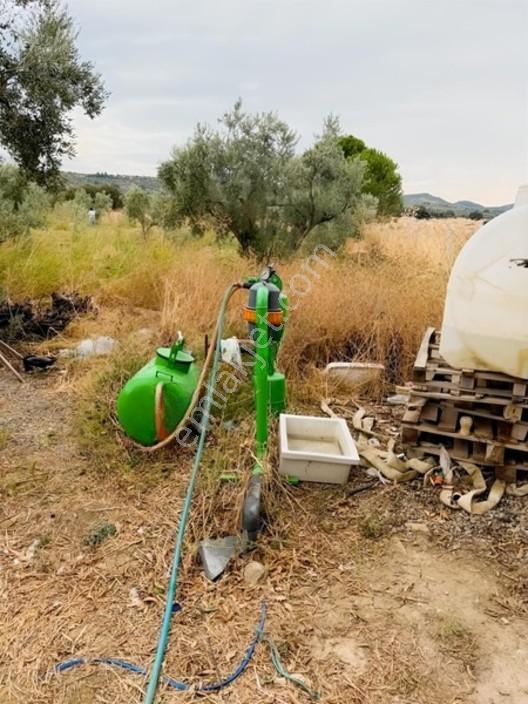 Etrafı Telle Cevrili Uygun Yatırımlık Tarla Tabulu Zeytinlik — fotoğraf 8
