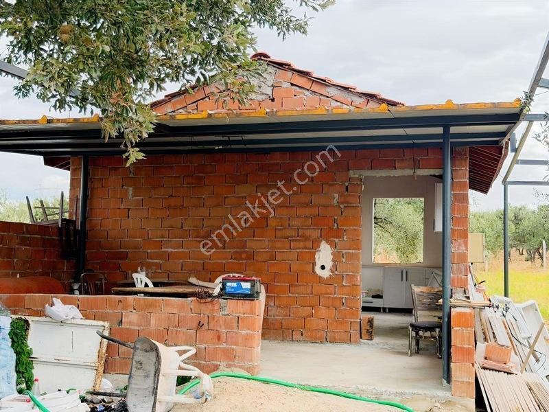 Etrafı Telle Cevrili Uygun Yatırımlık Tarla Tabulu Zeytinlik — fotoğraf 12