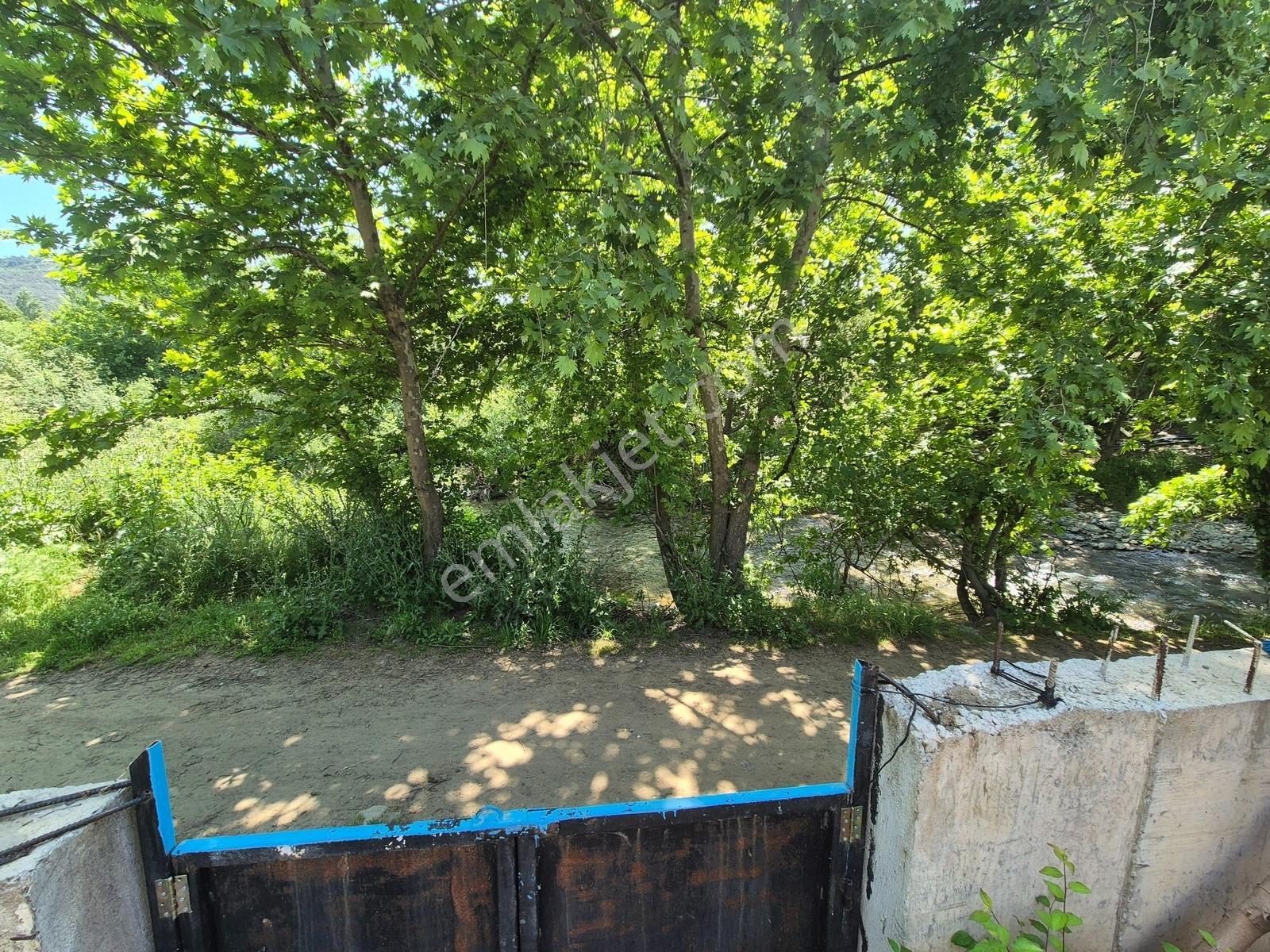 Artı'dan İnönü'de 860m2 Arsa İçerisinde Çay Cepheli Müstakil Ev — fotoğraf 6