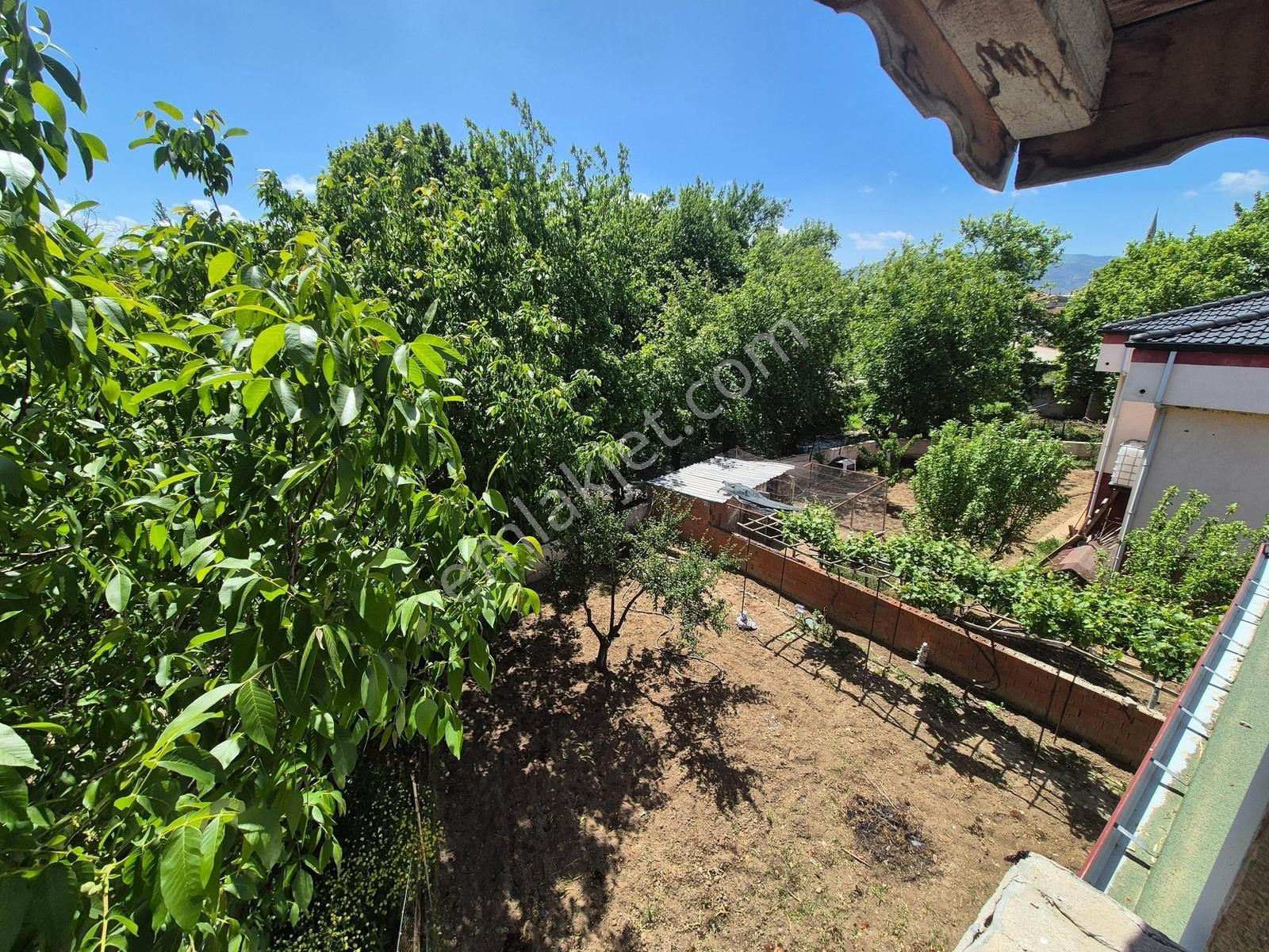Artı'dan İnönü'de 860m2 Arsa İçerisinde Çay Cepheli Müstakil Ev — fotoğraf 30