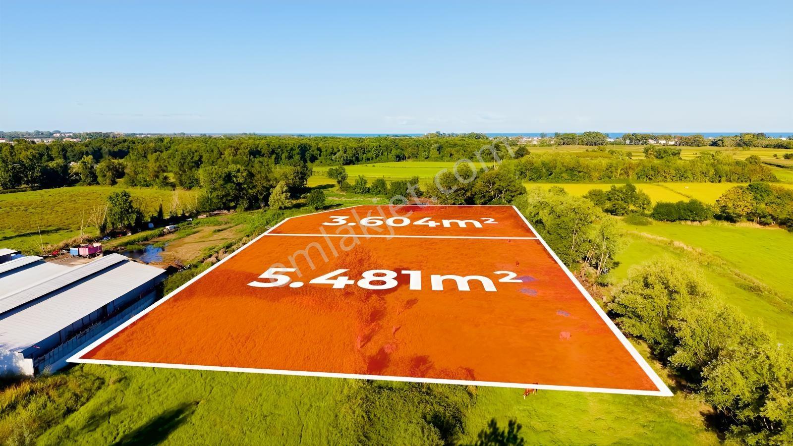 Hüseyin Boylu'dan Dereköy'de Ana Yola 3. Parsel 9.085 M² Tarla — fotoğraf 5
