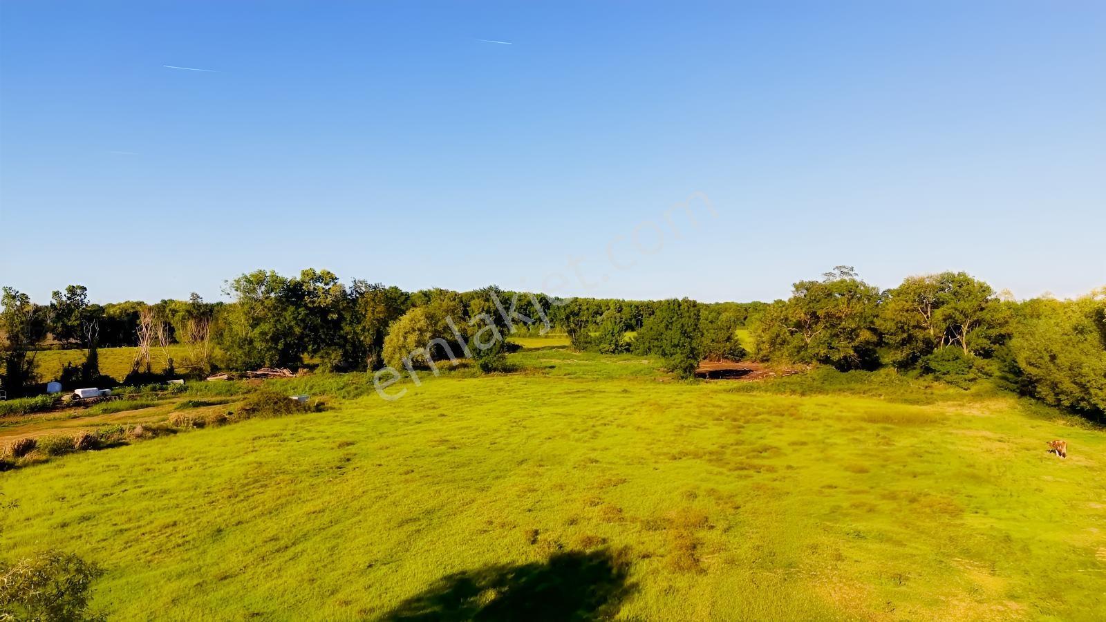 Hüseyin Boylu'dan Dereköy'de Ana Yola 3. Parsel 9.085 M² Tarla — fotoğraf 6