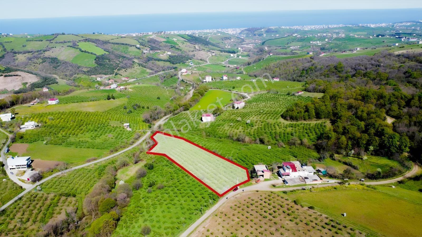 Taflanda Deniz Manzaralı 10.259 M² Satılık Tarla — fotoğraf 2