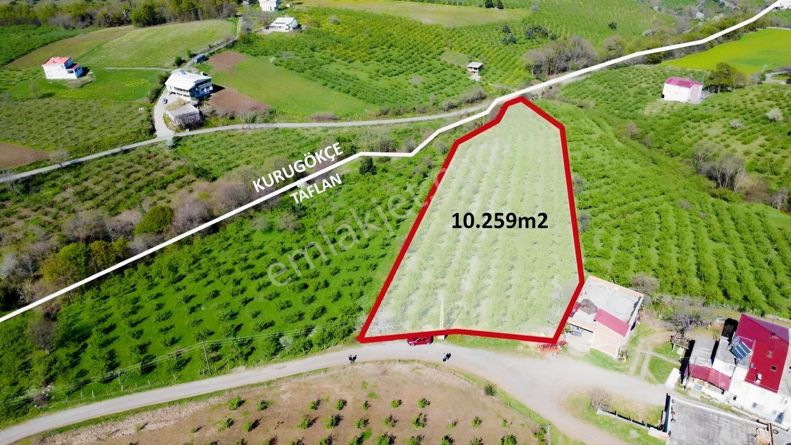 Taflanda Deniz Manzaralı 10.259 M² Satılık Tarla — fotoğraf 3