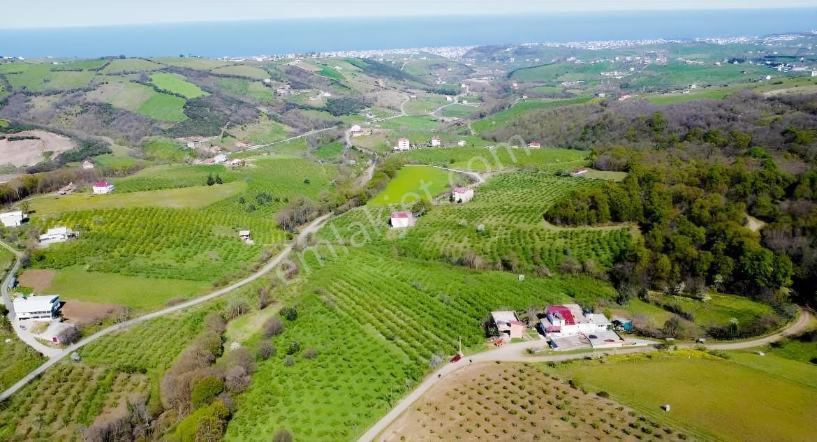 Taflanda Deniz Manzaralı 10.259 M² Satılık Tarla — fotoğraf 4