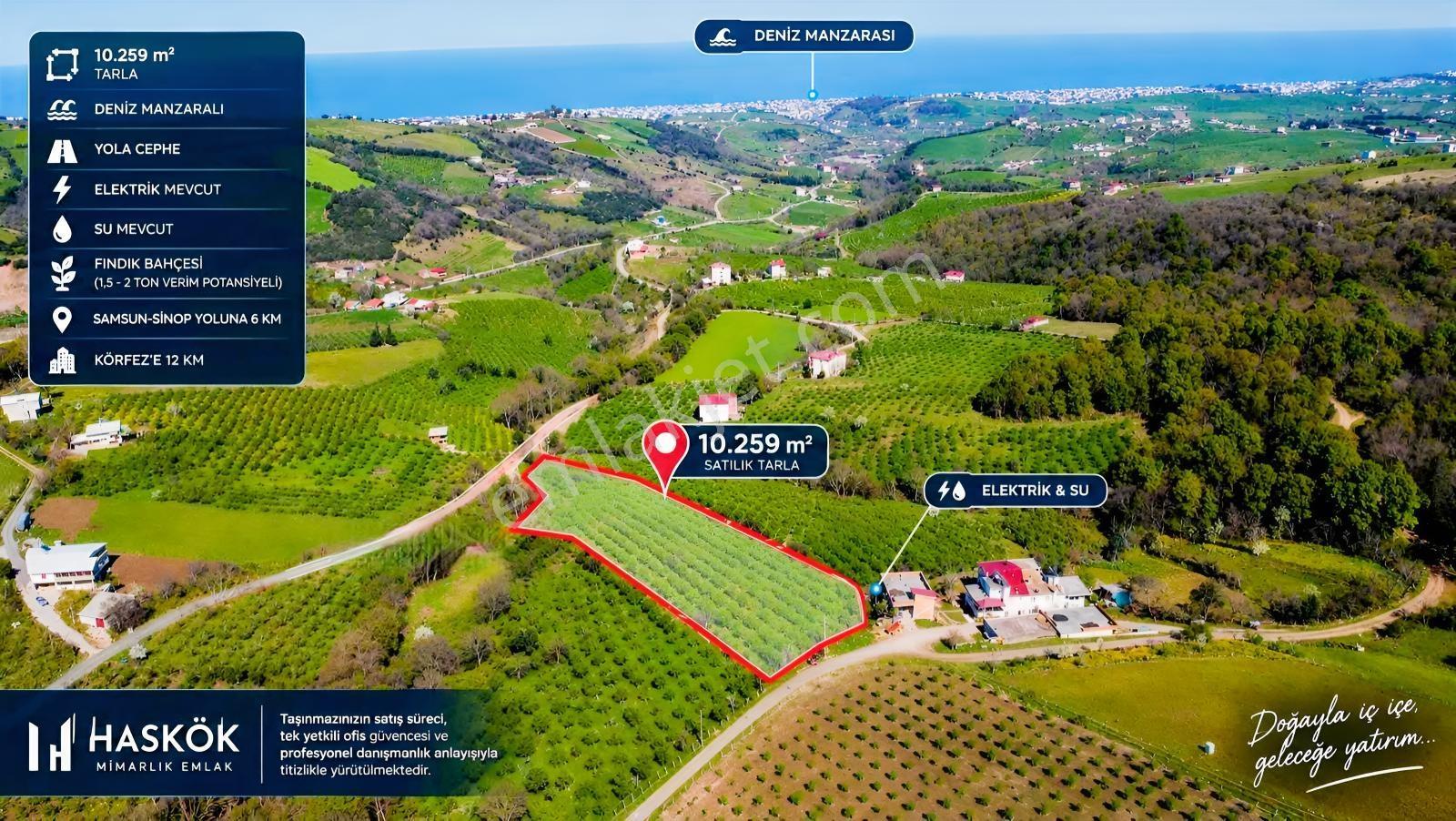 Taflanda Deniz Manzaralı 10.259 M² Satılık Tarla — fotoğraf 6