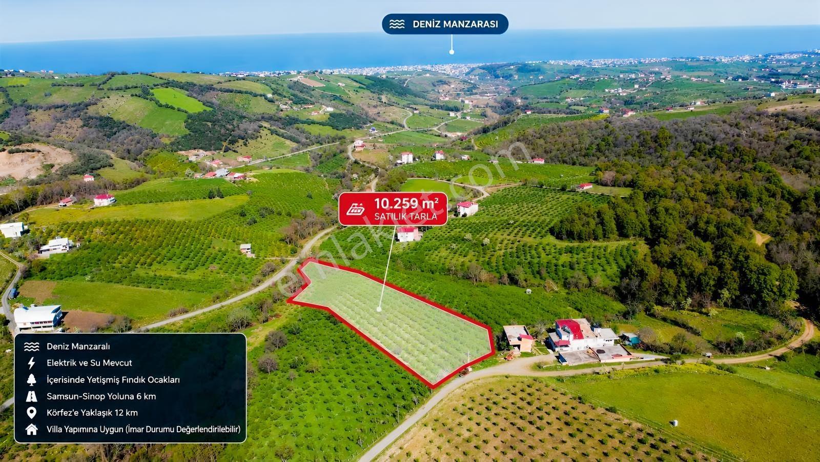 Taflanda Deniz Manzaralı 10.259 M² Satılık Tarla — fotoğraf 7