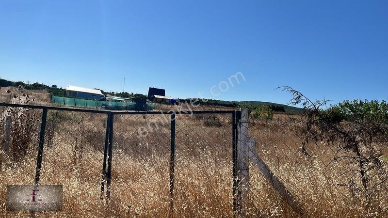 Arnavutköy Subaşı Şehir Merkezine Yakın 1276 M2 Hisseli Tarla