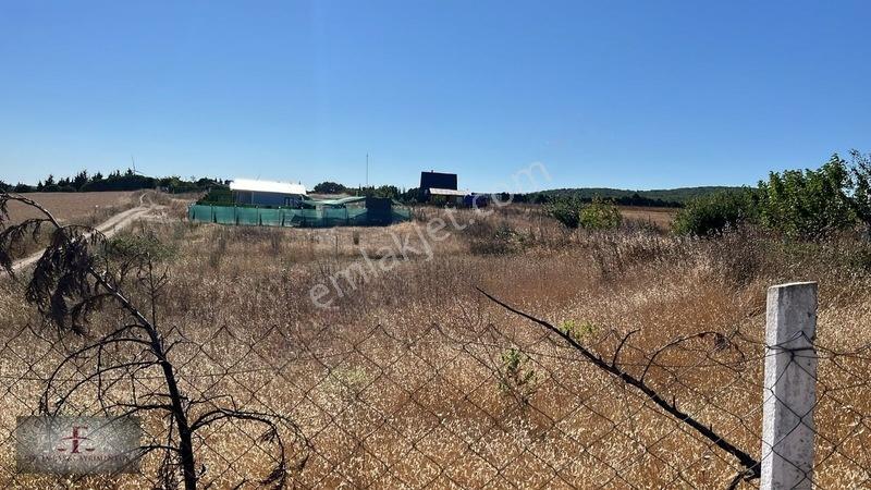 Arnavutköy Subaşı Şehir Merkezine Yakın 1276 M2 Hisseli Tarla — fotoğraf 2