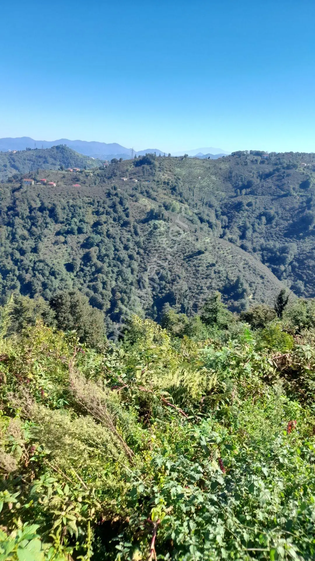 Wisremden Giresun Keşap'ta Deniz Manzaralı Bahçe — fotoğraf 4