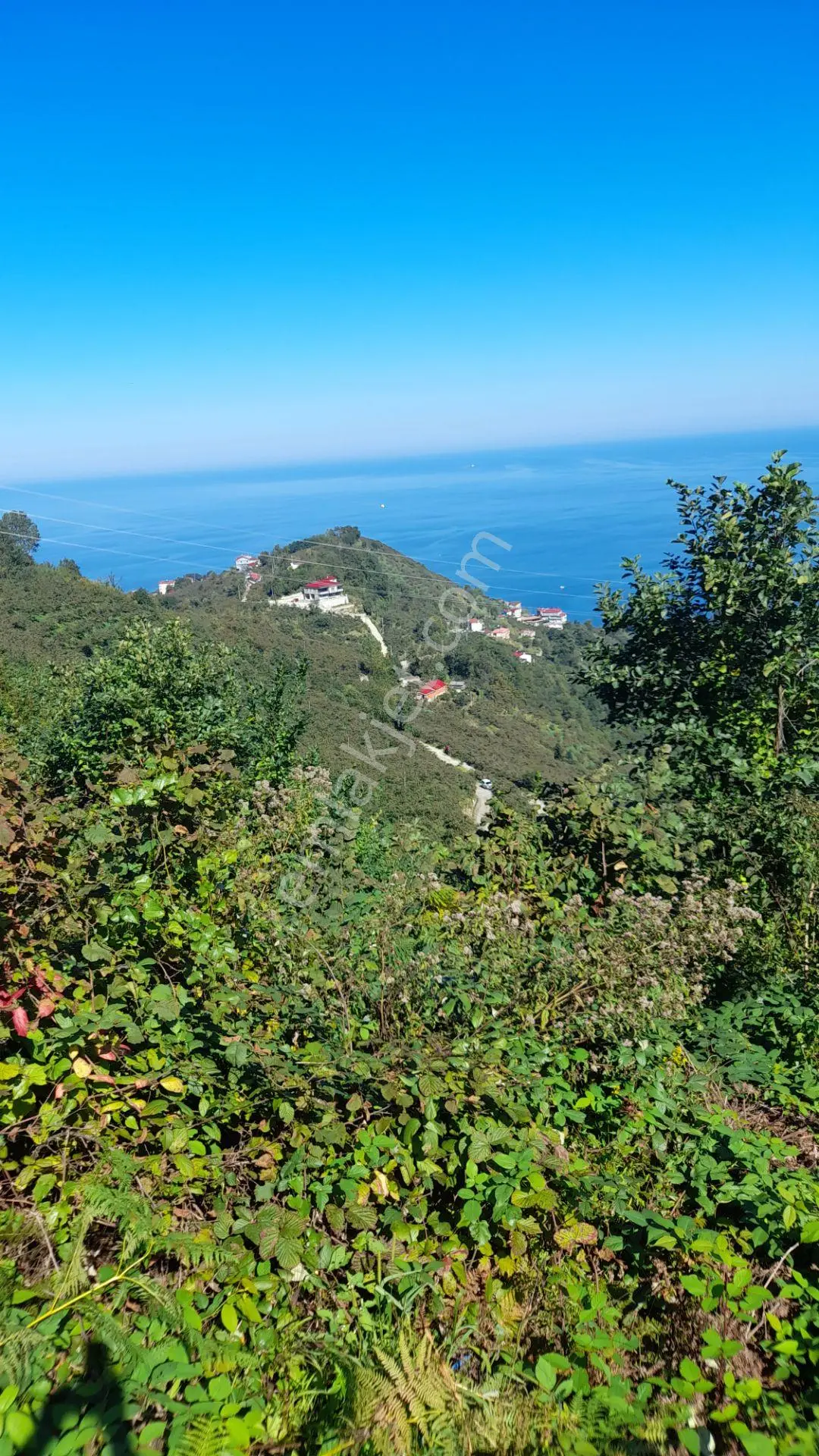 Wisremden Giresun Keşap'ta Deniz Manzaralı Bahçe — fotoğraf 5