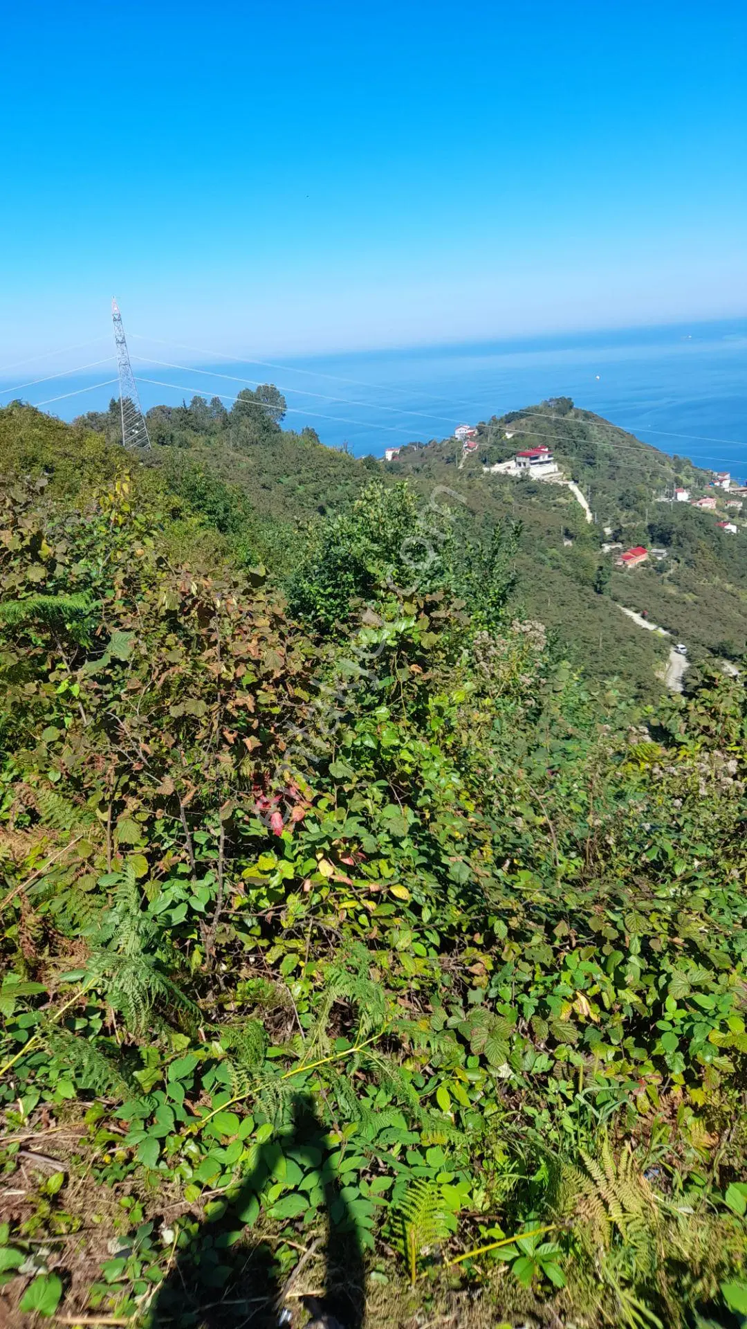 Wisremden Giresun Keşap'ta Deniz Manzaralı Bahçe — fotoğraf 6