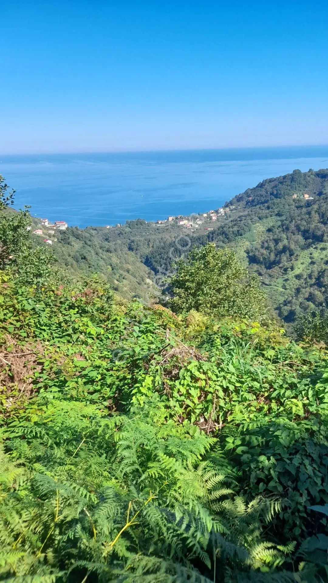 Wisremden Giresun Keşap'ta Deniz Manzaralı Bahçe — fotoğraf 8