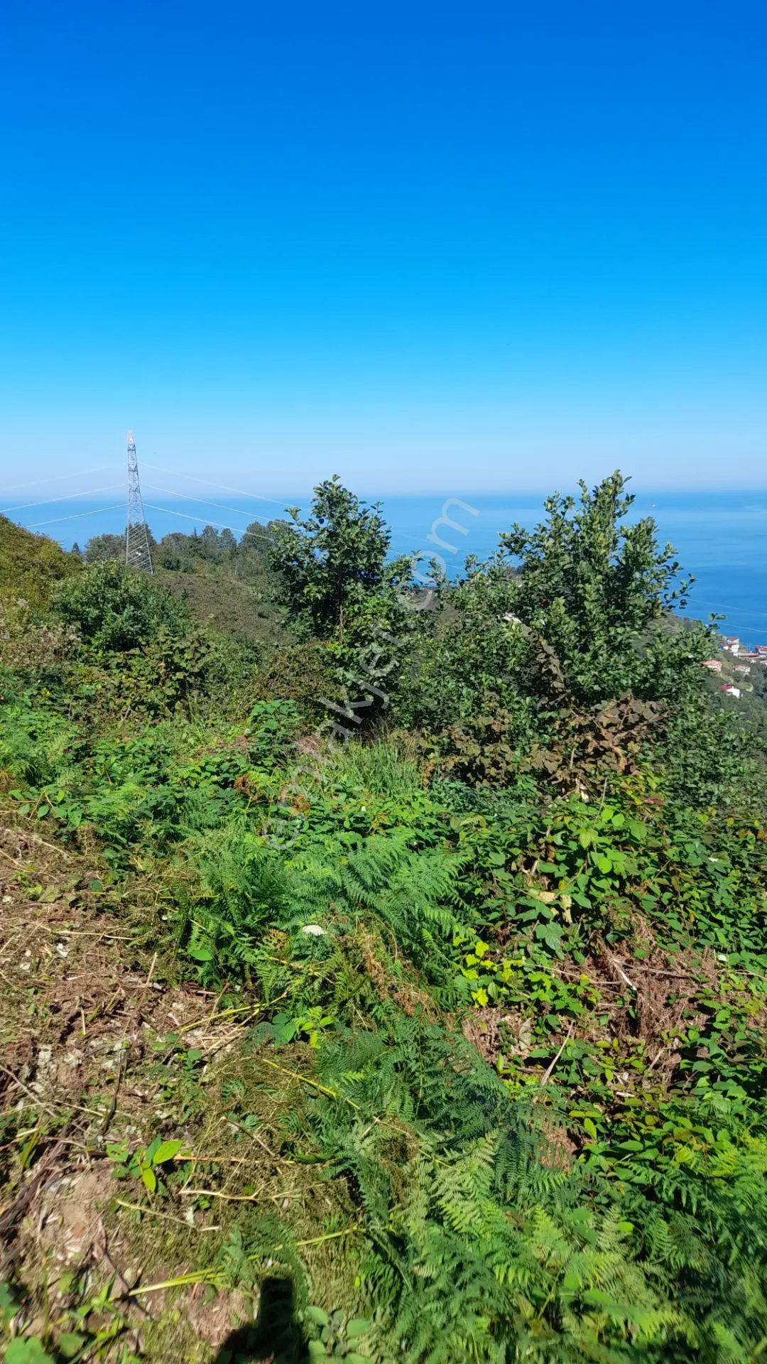 Wisremden Giresun Keşap'ta Deniz Manzaralı Bahçe — fotoğraf 9
