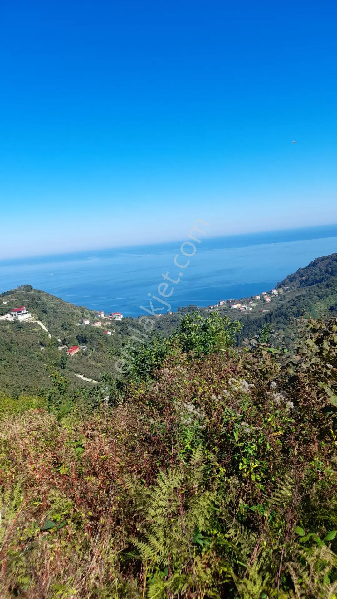 Wisremden Giresun Keşap'ta Deniz Manzaralı Bahçe — fotoğraf 10