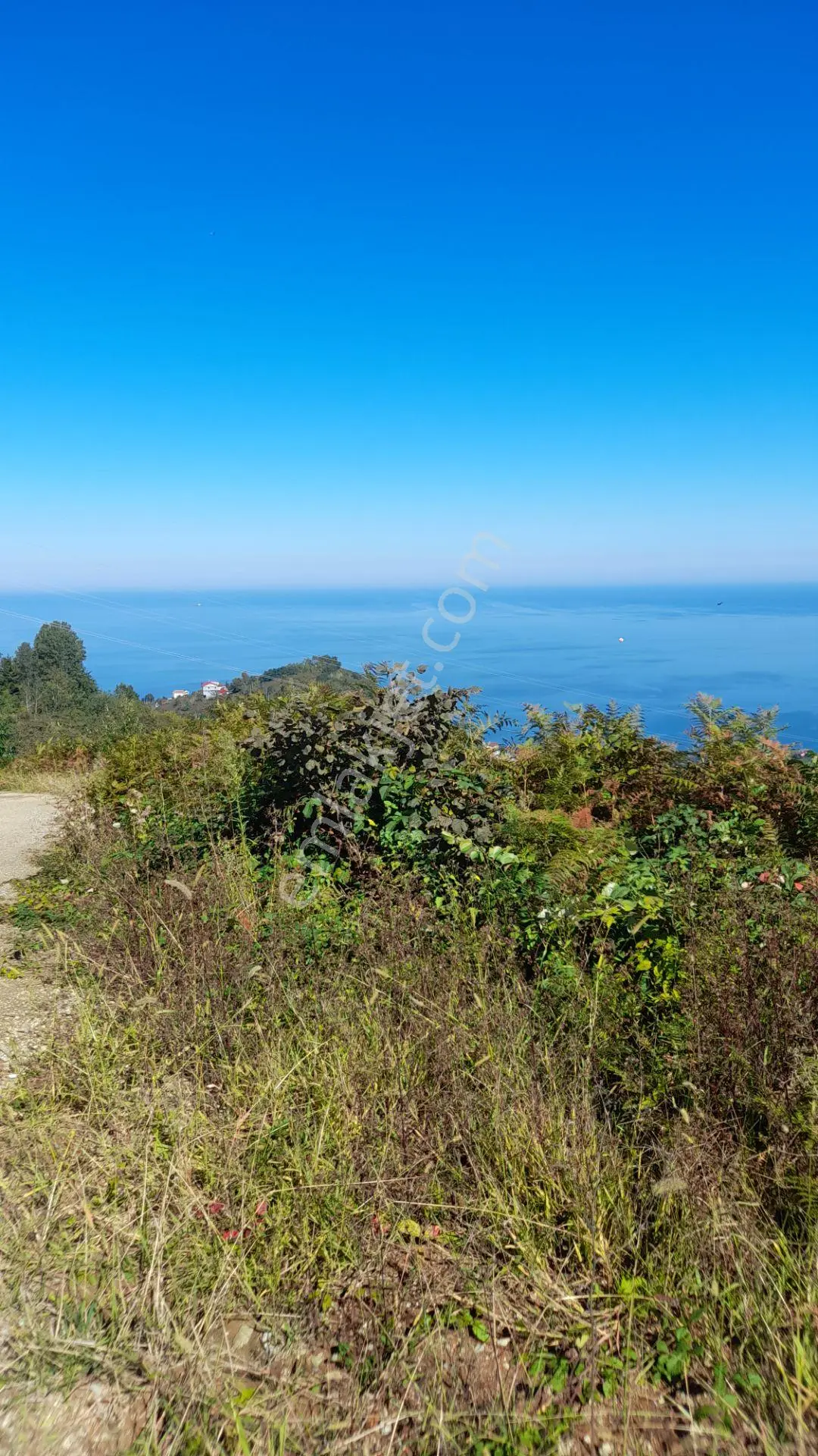Wisremden Giresun Keşap'ta Deniz Manzaralı Bahçe — fotoğraf 14