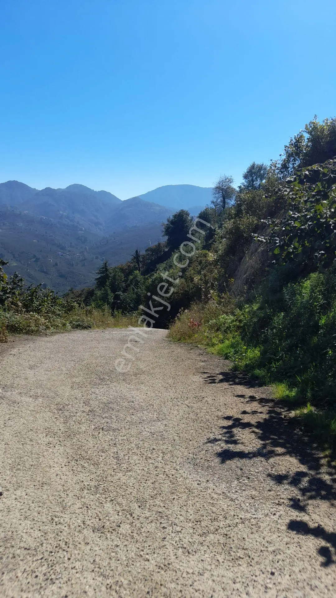 Wisremden Giresun Keşap'ta Deniz Manzaralı Bahçe — fotoğraf 17