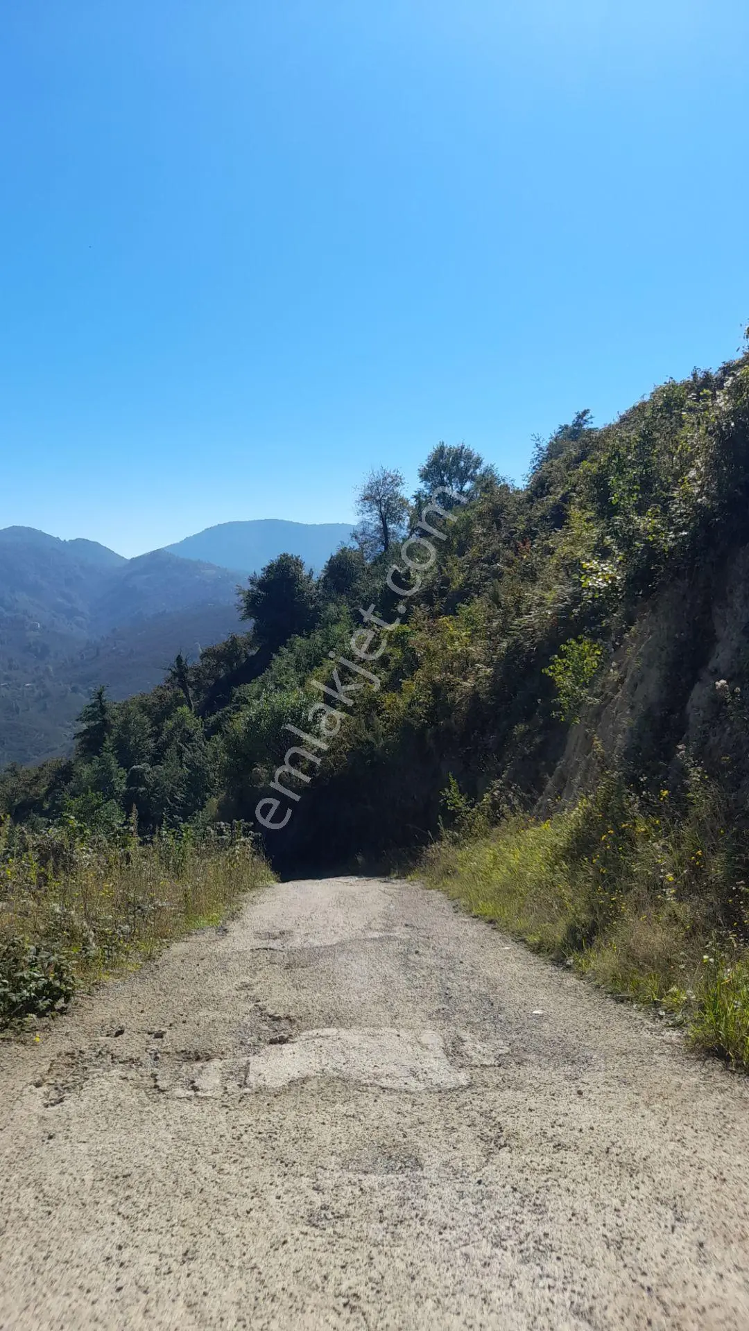 Wisremden Giresun Keşap'ta Deniz Manzaralı Bahçe — fotoğraf 18